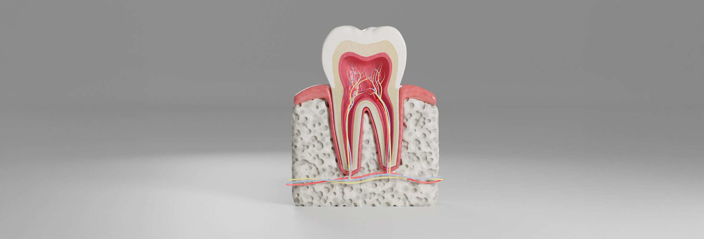 Wurzelbehandlung (Endodontie)